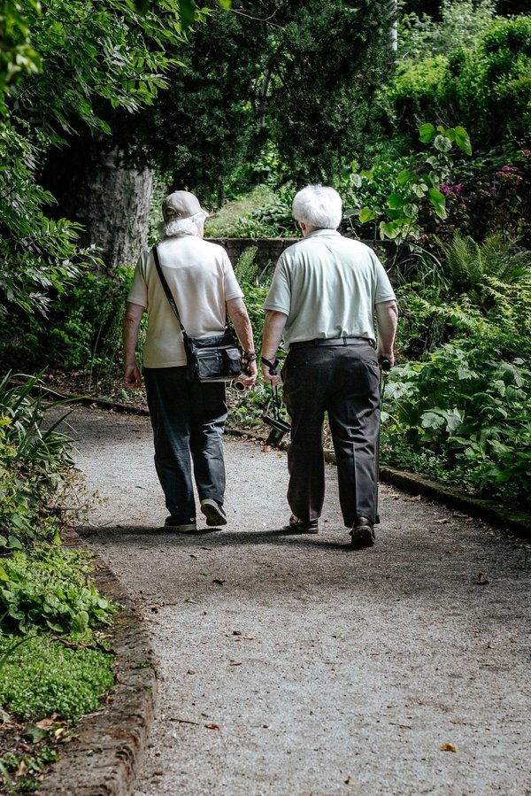 Comment favoriser la biodiversité dans son jardin ?