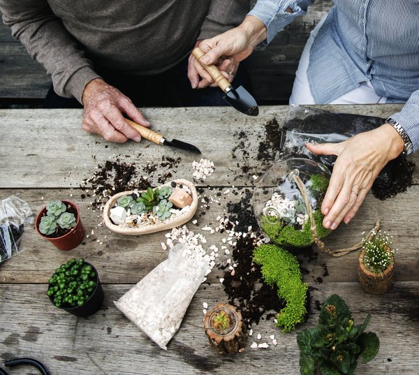 Quelles idées pour une activité de création de terrariums personnalisés?